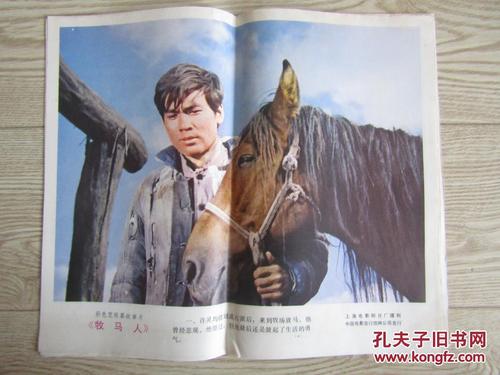 教资认定显示无效的学历证书